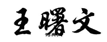 胡問遂王曙文行書個性簽名怎么寫