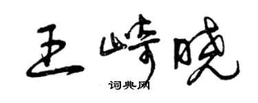 曾慶福王崎曉草書個性簽名怎么寫