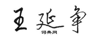 駱恆光王延爭行書個性簽名怎么寫