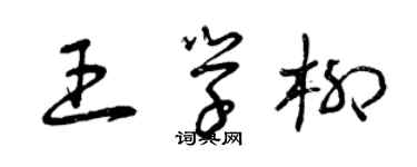 曾慶福王學柳草書個性簽名怎么寫