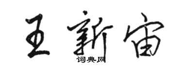 駱恆光王新宙行書個性簽名怎么寫