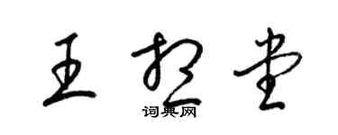 梁錦英王想堂草書個性簽名怎么寫