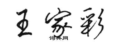 駱恆光王家彩行書個性簽名怎么寫