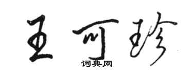 駱恆光王可珍行書個性簽名怎么寫