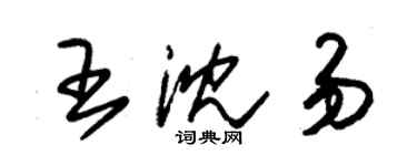 朱錫榮王沈易草書個性簽名怎么寫