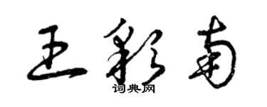 曾慶福王彩南草書個性簽名怎么寫