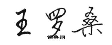 駱恆光王羅桑行書個性簽名怎么寫