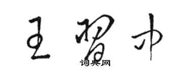 駱恆光王習中草書個性簽名怎么寫