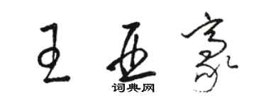 駱恆光王亞豪草書個性簽名怎么寫