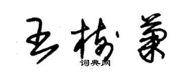 朱錫榮王樹菊草書個性簽名怎么寫