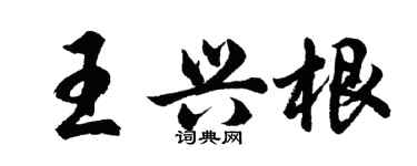 胡問遂王興根行書個性簽名怎么寫