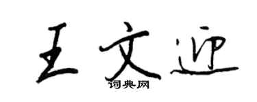 王正良王文迎行書個性簽名怎么寫