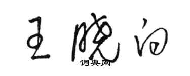 駱恆光王曉白草書個性簽名怎么寫