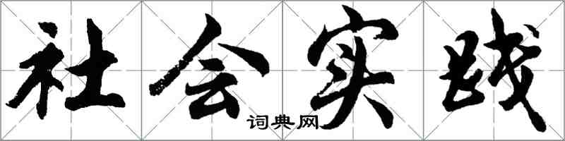 胡問遂社會實踐行書怎么寫