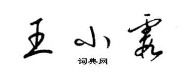 梁錦英王小霞草書個性簽名怎么寫