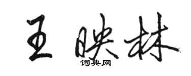 駱恆光王映林行書個性簽名怎么寫