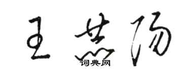 駱恆光王赫陽草書個性簽名怎么寫