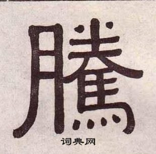黃葆戉千字文中騰的寫法