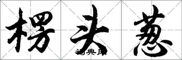 胡問遂楞頭蔥行書怎么寫