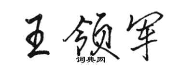 駱恆光王領軍行書個性簽名怎么寫