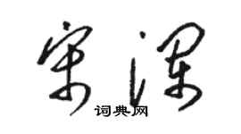 駱恆光宋瀾草書個性簽名怎么寫