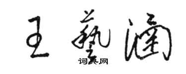 駱恆光王藝涵草書個性簽名怎么寫