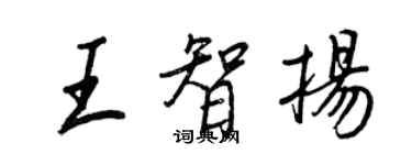 王正良王智揚行書個性簽名怎么寫