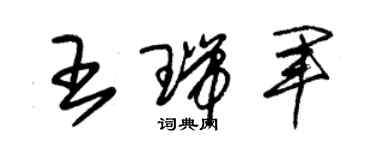 朱錫榮王瑞軍草書個性簽名怎么寫