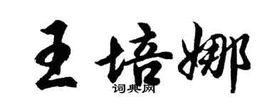 胡問遂王培娜行書個性簽名怎么寫
