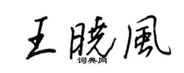 王正良王曉風行書個性簽名怎么寫