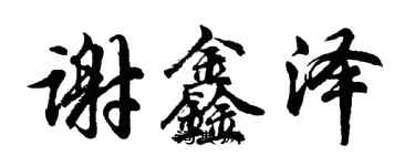 胡問遂謝鑫澤行書個性簽名怎么寫