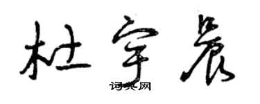 曾慶福杜宇晨草書個性簽名怎么寫