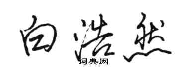 駱恆光白浩然行書個性簽名怎么寫