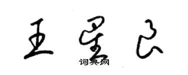 梁錦英王星良草書個性簽名怎么寫