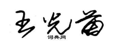 朱錫榮王光苗草書個性簽名怎么寫