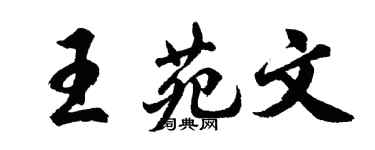 胡問遂王苑文行書個性簽名怎么寫