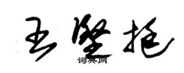 朱錫榮王堅挺草書個性簽名怎么寫