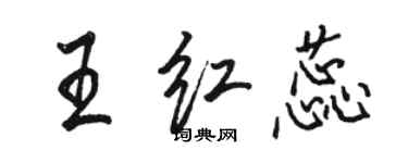 駱恆光王紅蕊行書個性簽名怎么寫