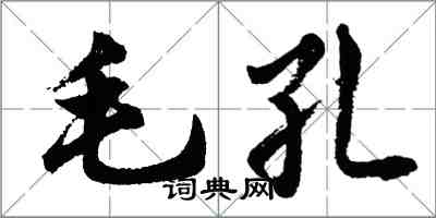 胡問遂毛孔行書怎么寫