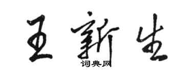 駱恆光王新生行書個性簽名怎么寫