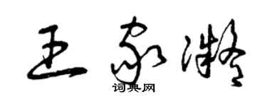 曾慶福王家凝草書個性簽名怎么寫