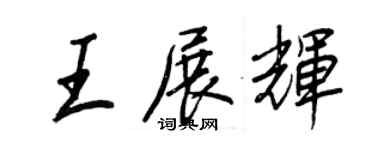 王正良王展輝行書個性簽名怎么寫