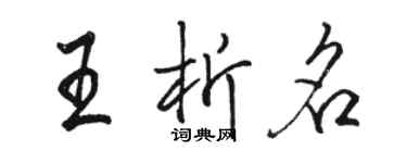 駱恆光王析名行書個性簽名怎么寫