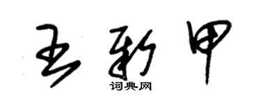 朱錫榮王新甲草書個性簽名怎么寫