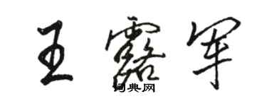 駱恆光王露軍行書個性簽名怎么寫