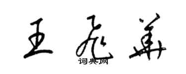 梁錦英王飛華草書個性簽名怎么寫