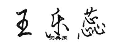 駱恆光王樂蕊行書個性簽名怎么寫