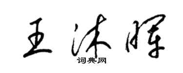 梁錦英王沐暉草書個性簽名怎么寫