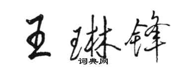 駱恆光王琳鋒行書個性簽名怎么寫