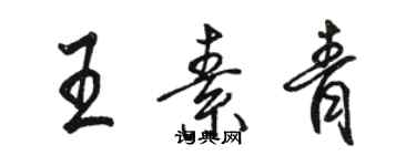 駱恆光王素青行書個性簽名怎么寫